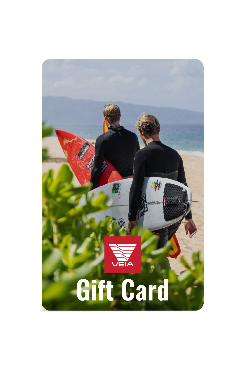 VEIA Supplies E-Gift Card